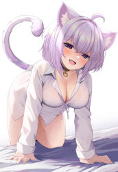 1girl :d ahoge all_fours animal_ears bakko bed_sheet blush bottomless breasts buckle cat_ears cat_girl cat_tail cleavage collar fang heart heart-shaped_pupils highres hololive large_breasts long_sleeves looking_at_viewer nekomata_okayu nekomata_okayu_(oversized_shirt) on_bed open_mouth pink_shirt purple_eyes purple_hair shirt short_hair simple_background smile solo symbol-shaped_pupils tail virtual_youtuber white_background white_shirt rating:Sensitive score:42 user:danbooru