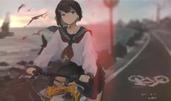1girl aqua_eyes artist_name bicycle bird blue_sailor_collar blurry blurry_background brown_hair closed_mouth collarbone commentary_request dated earbuds earphones feet_out_of_frame hair_ornament hairclip highres long_sleeves looking_at_viewer neckerchief ocean original outdoors red_neckerchief riding riding_bicycle road_sign sailor_collar school_uniform serafuku shirt shore short_hair sign solo sunset white_shirt xilmo rating:General score:9 user:danbooru