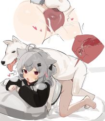 1girl absurdres animal_ears bandaid bestiality cum cum_in_pussy dog dog_ears dog_tail doggystyle extra_ears fenrir_(fenriluuu) heart heavy_breathing highres loli pink_eyes pussy rir-chan sex sex_from_behind tail vaginal white_hair rating:Explicit score:383 user:Feeh