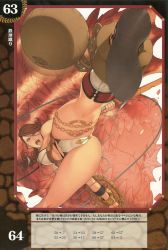 10s bikini branwen breasts brown_hair chain cleavage collar heterochromia highres large_breasts long_hair oda_non queen&#039;s_blade queen&#039;s_blade_rebellion rafadx_oda_non shield swimsuit sword weapon rating:Questionable score:24 user:RafaDX