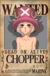  1boy antlers blonde_hair brown_eyes hat highres horns male_focus one_piece personification reindeer reindeerboy shota solo tony_tony_chopper top_hat topless_male wanted wanted_poster white_hair  rating:Questionable score:19 user:grankuwaga