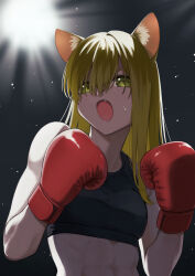 1girl animal_ears asuka_gin boxing boxing_gloves boxing_ring cat_ears original tagme
