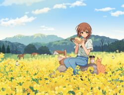 1girl animal arisa_(aren) artist_name bare_tree basket bird blue_pants blue_shirt blue_sky braid brown_cat brown_eyes brown_hair bug butterfly buttons cat closed_mouth cloud cloudy_sky coffee_cup collared_shirt commentary_request cup day denim disposable_cup earrings field floating_hair flower flower_field food full_body hair_over_shoulder highres hill holding holding_food horse house insect jeans jewelry landscape long_hair looking_at_viewer low_twin_braids mountain mountainous_horizon nature original outdoors pants picnic picnic_basket pinstripe_pattern pinstripe_shirt rock rural sandwich scenery sheep shirt shirt_tucked_in short_sleeves sidelocks sitting sky smile solo striped_clothes striped_shirt stud_earrings tree twin_braids vertical-striped_clothes vertical-striped_shirt white_shirt yellow_flower 