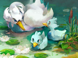  10s animal_focus bad_id bad_pixiv_id bird blue_eyes cattail creatures_(company) ducklett evolutionary_line family flower game_freak gen_5_pokemon hachi_kou itou_hachi lily_pad lotus nature nintendo no_humans plant pokemon pokemon_(creature) pokemon_bw reeds swanna water  rating:Sensitive score:18 user:danbooru
