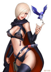  1girl armor bikini_armor bird blonde_hair breasts cape curvy large_breasts ryu_(ryu&#039;s_form_site) shiny_clothes solo thighhighs  rating:Sensitive score:25 user:danbooru