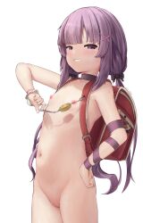  1girl arm_ribbon backpack bag blush breasts brown_eyes brown_hair choker cleft_of_venus completely_nude crime_prevention_buzzer fallenshadow female_focus grin groin hand_on_own_hip highres indie_virtual_youtuber loli long_hair looking_at_viewer low_twintails mesugaki naughty_face navel nipples nude pussy randoseru ribbon rurikon small_breasts smile solo standing thighs twintails virtual_youtuber  rating:Explicit score:346 user:danbooru