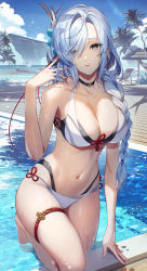  1girl alternate_costume arm_support bare_arms bare_shoulders barefoot bikini black_choker blue_eyes blue_sky braid breasts choker cleavage cloud cloudy_sky collarbone cross-laced_clothes day earrings eyes_visible_through_hair flower_knot genshin_impact hair_ornament hair_over_one_eye halterneck hand_up jewelry large_breasts long_hair looking_at_viewer low-braided_long_hair low-tied_long_hair multi-strapped_bikini navel ocean on_one_knee outdoors parted_lips pool scottie_(phantom2) shenhe_(genshin_impact) single_braid sky solo standing stomach sunlight swept_bangs swimsuit tassel tassel_earrings thigh_strap thighs tree wading water wet white_bikini white_hair  rating:Sensitive score:86 user:danbooru