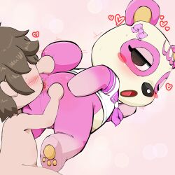  1boy 1girl :o absurdres anal anilingus animal_crossing animal_ears animal_feet animal_nose anus ass ass_grab bear_ears bear_girl bear_tail black_eyes blush blush_stickers body_fur bow brown_hair chibi clitoris clothed_female_nude_male crop_top faceless faceless_male flat_chest from_behind furry furry_female furry_with_non-furry hair_bow half-closed_eyes hand_on_own_ass heart hetero highres interspecies looking_at_another looking_back messy_hair neckerchief nintendo nude open_mouth pawpads pink_background pink_bow pink_fur pink_neckerchief pink_sailor_collar pinky_(animal_crossing) pussy_juice red_leopard sailor_collar saliva school_uniform serafuku shirt short_hair short_sleeves short_tail sidelocks sweat tail tail_wagging tongue tongue_out top-down_bottom-up trembling two-tone_fur uncensored villager_(animal_crossing) white_fur white_shirt 