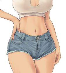 1girl blue_shorts breasts cleavage cleavage_cutout clothing_cutout crop_top denim denim_shorts hand_on_own_hip highres kaga_(kancolle) kantai_collection large_breasts lower_body midriff navel open_fly shirt short_shorts shorts simple_background solo thigh_gap thighs wa_(genryusui) white_background white_shirt rating:Sensitive score:48 user:danbooru