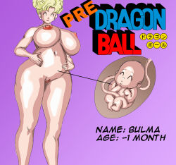  2girls bulma dragon_ball highres multiple_girls nipples nude panchy tagme  rating:Explicit score:11 user:ilsettimosigillo
