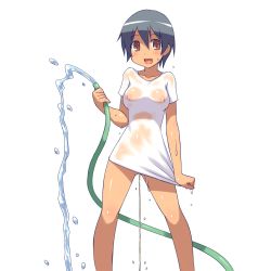  1girl :d aaaa_(quad-a) bad_id bad_pixiv_id bottomless breasts brown_eyes casual_peeing covered_erect_nipples female_focus grey_hair happy_peeing highres hose nipples no_bra no_panties open_mouth original pee peeing see-through shirt shirt_tug short_hair small_breasts smile solo water wet wet_clothes wet_shirt  rating:Questionable score:276 user:danbooru