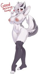  1girl absurdres animal_ears black_thighhighs breasts cleft_of_venus colored_sclera completely_nude fox_ears fox_tail furry furry_female grey_eyes grey_fur grey_hair heart highres large_breasts loona_(group) loona_(helluva_boss) navel nipples nude red_sclera siki_(purple_software) smile solo stomach tail thighhighs weelzelu  rating:Explicit score:53 user:danbooru