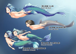 4girls absurdres away bare_back bare_shoulders black_eyes black_hair breasts c.t_(yoyo860222) cleavage collarbone commentary commentary_request completely_nude english_commentary english_text female_focus fins fish_tail full_body gradient_hair green_eyes hair_between_eyes head_fins highres loli long_hair mermaid mixed-language_commentary mixed-language_text monster_girl multicolored_hair multiple_girls navel nipples nude ocean original pussy shark_fin shark_girl shark_tail short_hair sidelocks simple_background small_breasts stomach swimming tail underwater rating:Explicit score:43 user:danbooru