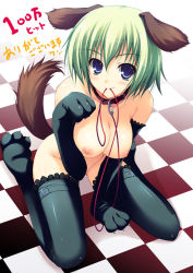 1girl animal_ears animal_hands bdsm breasts collar dog_ears dog_tail elbow_gloves gloves large_breasts leash nipples original paw_gloves paw_shoes shoes solo tail thighhighs tomose_shunsaku rating:Questionable score:14 user:danbooru