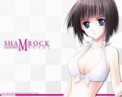  1girl bikini black_hair blue_eyes bob_cut breasts character_request checkered_background cleavage company_name copyright_name front-tie_bikini_top front-tie_top gagraphic looking_at_viewer medium_breasts nishiwaki_yuuri official_art official_wallpaper shamrock_(novel) short_hair solo swimsuit wallpaper white_bikini 