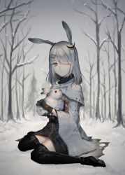 1girl animal animal_ears arknights bad_id bad_pixiv_id bare_tree black_dress black_footwear black_gloves black_sweater black_thighhighs boots capelet closed_mouth coat commentary dress expressionless frostnova_(arknights) full_body gloves grey_eyes grey_sky hair_ornament hair_over_one_eye hairclip highres holding holding_animal holding_rabbit kuiqiu_kq looking_at_viewer medium_hair outdoors rabbit rabbit_ears ribbed_sweater scar scar_on_face silver_hair sitting sky snow solo sweater thighhighs torn_clothes tree turtleneck turtleneck_sweater wariza white_capelet white_coat zettai_ryouiki rating:Sensitive score:2 user:danbooru