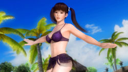 1girl 3d dead_or_alive dead_or_alive_5 lei_fang midriff official_art palm_tree solo swimsuit tagme tree rating:Questionable score:4 user:Hecatom