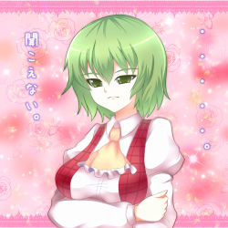 ... 1girl ascot breast_hold breasts confession female_focus frown greave_(asterism) green_eyes green_hair kazami_yuuka matching_hair/eyes mystic_square plaid plaid_vest pov puffy_sleeves solo text_focus touhou touhou_(pc-98) translated vest rating:Sensitive score:5 user:danbooru