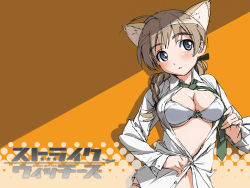  00s 1girl ahoge animal_ears blue_eyes bra braid breasts brown_hair cat_ears cleavage dress_shirt hair_over_shoulder large_breasts lingerie lynette_bishop necktie open_clothes open_shirt panties ribbon shirt single_braid solo strike_witches takamura_kazuhiro underwear wallpaper world_witches_series  rating:Questionable score:4 user:danbooru