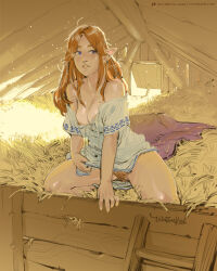 1girl bare_shoulders barn blanket blue_eyes breasts female_pubic_hair hay highres long_hair looking_to_the_side malon medium_breasts messy_hair nintendo nipples no_bra off_shoulder parted_lips pointy_ears pubic_hair pussy solo the_legend_of_zelda the_legend_of_zelda:_ocarina_of_time winton_kidd rating:Explicit score:175 user:danbooru