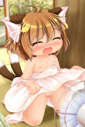 1girl absurdres animal_ears blush chen closed_eyes clothes_lift dress dress_lift fang hand_fan highres kurumai loli multiple_tails open_mouth panties panties_around_leg pussy shiny_skin short_hair solo tail touhou uncensored underwear rating:Explicit score:68 user:Domestic_Importer