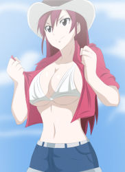  1girl bikini black_eyes breasts cleavage erza_scarlet fairy_tail female_focus happy hat highres kunaix large_breasts long_hair open_clothes red_hair shirt smile solo standing swimsuit undressing cowboy_western  rating:Questionable score:39 user:tom01