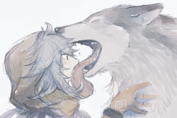  ! !! 1boy closed_eyes from_side genshin_impact gloves grey_hair highres hood licking orange_gloves razor_(genshin_impact) red_eyes simple_background solo thoma_werner tongue tongue_out upper_body white_background wolf 