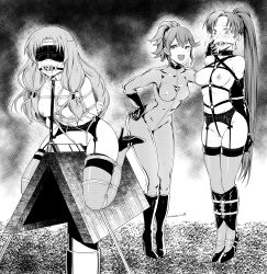  3girls absurdres anna_(fire_emblem) armbinder arms_behind_back bad_id ball_gag bdsm blush bondage bondage_outfit bound breasts collar crotch_rub crying dominatrix covered_erect_nipples eudetenis female_focus femdom fire_emblem florina_(fire_emblem) gag garter_belt garter_straps greyscale high_heels highres lyn_(fire_emblem) monochrome multiple_girls nintendo nipples nude ponytail pussy rope saliva shibari skin_tight slave smile thighhighs uncensored wooden_horse yuri  rating:Explicit score:296 user:hentai-in-the-streets