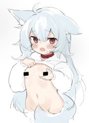  animal_ears blue_hair breasts censored collar fenrir_(fenriluuu) highres lifting_own_clothes lifted_shirt light_blue_hair loli long_hair open_mouth red_eyes rir-chan small_breasts tail tail_censor wolf_ears wolf_tail  rating:Questionable score:79 user:Sparries