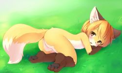  1girl animal_ears animal_hands ass barefoot blush brown_eyes feet furry furry_female grass kagerofu loli nature nude open_mouth outdoors pawpads soles solo tagme tail toes  rating:Questionable score:112 user:Jirachi