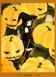 1girl azumi_tooru black_hair broom green_eyes halloween hat jack-o&#039;-lantern long_hair pumpkin solo tohru_adumi witch witch_hat 