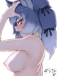 10s 1girl absurdres animal_ears arm_at_side blue_hair breasts commentary_request dire_wolf_(kemono_friends) eyelashes eyes_visible_through_hair from_side grey_hair hair_ribbon hand_on_own_head hand_up highres kemono_friends lipstick long_hair looking_at_viewer makeup masuyama_ryou medium_breasts multicolored_hair nipples nude open_mouth ribbon saliva saliva_trail sideways_glance signature solo tongue tongue_out upper_body wolf_ears yellow_eyes rating:Questionable score:36 user:danbooru