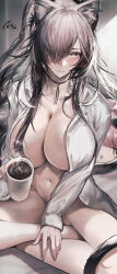  1girl absurdres animal_ears arknights black_choker blush cat_ears cat_tail choker coffee coffee_mug cup grey_hair hair_censor hair_over_breasts hair_over_one_breast hair_over_one_eye highres holding holding_cup hug indian_style long_hair long_sleeves looking_at_viewer mug naked_shirt open_clothes open_shirt parted_lips schwarz_(arknights) shirt sitting solfi0211 solo steam tail yellow_eyes  rating:Questionable score:18 user:danbooru