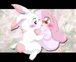  00s animal_ears animal_hands blush brown_eyes chima_(happy_happy_clover) flower french_kiss furry happy_happy_clover kiss kneeling meru_(happy_happy_clover) purple_eyes rabbit rabbit_ears rabbit_tail tail tears tongue  rating:Questionable score:6 user:surprise
