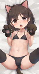  1girl absurdres anal anal_object_insertion anal_tail animal_ears animal_hands arms_up ass bikini bikini_bottom_aside black_bikini black_gloves black_thighhighs breasts brown_eyes brown_hair butt_plug cat_ears claw_pose clothing_aside fake_animal_ears fake_tail female_focus gloves highres legs_up loli looking_at_viewer lying navel object_insertion okura-chan_(at_nya5) on_back original paw_gloves sex_toy short_hair small_breasts solo spread_legs swimsuit tail thighhighs thighs  rating:Explicit score:164 user:danbooru