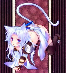 00s 1boy animal_ears bad_id bad_pixiv_id blue_eyes boots cat_boy cat_ears cat_tail final_fantasy final_fantasy_ix fingerless_gloves gloves kuja long_hair male_focus minatosaiga silver_hair solo tail thighhighs trap  rating:Sensitive score:23 user:danbooru
