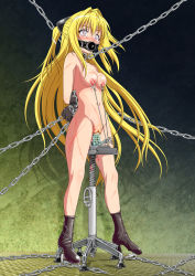  1girl arms_behind_back bdsm blonde_hair blood blush bondage bound breasts chain collage_(artist) collar female_focus gag konjiki_no_yami leash long_hair navel nipple_piercing nipples nude object_insertion piercing plug_gag purple_eyes pussy pussy_juice saliva solo sweat tears to_love-ru torture uncensored vaginal whip_marks 