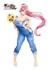  1girl bare_shoulders barefoot breasts collarbone commentary_request feet flower gang_of_heaven hair_flower hair_ornament holding large_breasts lips logo long_hair looking_at_viewer masami_chie nipples off_shoulder official_art overalls parted_lips pink_eyes pink_hair ponytail shiny_skin simple_background solo standing sunflower toes very_long_hair white_background  rating:Questionable score:44 user:danbooru