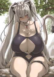 1girl animal_ears breasts brown_eyes cat_ears cleavage curvy demekyon grey_hair huge_breasts jewelry long_hair looking_at_viewer necklace on_rock one-piece_swimsuit original outdoors plump sitting smile solo swimsuit tail thick_thighs thigh_strap thighs twintails wet rating:Sensitive score:54 user:danbooru