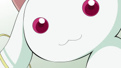  10s :3 absurdres highres kyubey mahou_shoujo_madoka_magica red_eyes smile tagme  rating:General score:9 user:Hellcat240