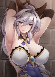 10s 1girl animal_ears armpits arms_behind_head arms_up bdsm blush bondage bound bound_arms braid breasts brooch cat_ears cat_girl cleavage elbow_gloves erune female_focus gloves granblue_fantasy green_eyes hair_tubes hairband heles highres jewelry large_breasts long_hair looking_at_viewer open_mouth ruton-niki silver_hair single_braid solo sweat tiara toned tsurime yellow_eyes rating:Sensitive score:103 user:danbooru