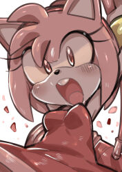  absurdres amy_rose dress highres red_dress sonic_(series) tagme tory_(tory29)  rating:Sensitive score:12 user:sima00