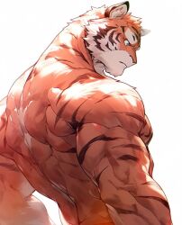  1boy animal_ears back bara blue_fur closed_mouth furry furry_male highres looking_to_the_side male_focus multicolored_fur muscular muscular_male nude orange_fur original profile simple_background solo takoyaki_zoo tiger_boy tiger_ears tiger_stripes upper_body white_background 