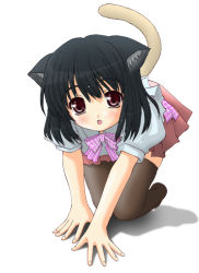 1girl all_fours animal_ears artist_request black_hair cat_ears cat_tail female_focus loli looking_at_viewer open_mouth solo tail thighhighs rating:Questionable score:8 user:danbooru