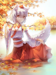  1girl a_luo animal_ears autumn_leaves clothes_lift detached_sleeves forest hat highres inubashiri_momiji lake long_sleeves looking_at_viewer nature red_eyes shirt skirt skirt_lift smile solo tail tokin_hat touhou tree water wide_sleeves wolf_ears wolf_tail 