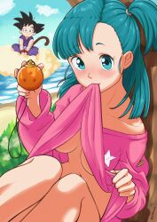  1boy 1girl beach blue_eyes blue_hair breasts breasts_apart bulma clothes_lift dougi dragon_ball dragon_ball_(classic) dragon_ball_(object) flying_nimbus highres medium_breasts monkey_tail mouth_hold no_bra no_panties off-shoulder_sweater off_shoulder pink_sweater side_ponytail son_goku spiked_hair sweater sweater_lift tail wolkat 