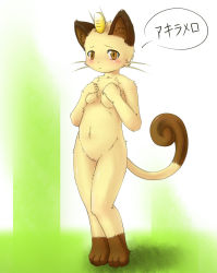 1girl :&lt; animal_ears animal_hands barefoot blush breasts brown_eyes cat_ears cat_tail covering_breasts covering_privates creatures_(company) embarrassed furry furry_female game_freak gen_1_pokemon hair_ornament ka_(pixiv341010) kagerofu looking_at_viewer meowth nintendo nude nude_cover pokemon pokemon_(creature) pussy solo standing tail translated whiskers