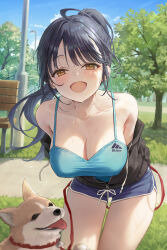  1girl :d black_hair black_jacket blue_shorts blue_sky blue_tank_top boku_no_kokoro_no_yabai_yatsu brand_name_imitation breasts brown_eyes cleavage collarbone dog dolphin_shorts highres holding holding_leash jacket large_breasts leaning_forward leash long_hair looking_at_viewer off_shoulder open_mouth outdoors park partially_unzipped ponytail r_o_ha shorts sky smile solo sweat tank_top yamada_anna 