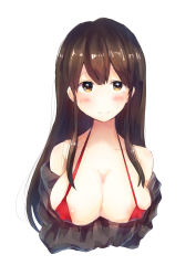 10s 1girl akagi_(kancolle) bikini blush breast_hold breasts brown_eyes brown_hair cleavage covered_erect_nipples female_focus highres kantai_collection large_breasts light_smile long_hair looking_at_viewer micro_bikini mochiko_(mocchikkoo) off_shoulder red_bikini simple_background sketch solo swimsuit upper_body white_background rating:Questionable score:12 user:danbooru