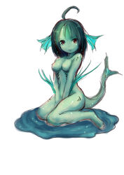  1girl ahoge blue_skin colored_skin female_focus fins full_body gills head_fins highres looking_at_viewer monster_girl no_nipples nude simple_background sitting solo tail tenteco_(covamin) wariza white_background  rating:Questionable score:17 user:Dweenie